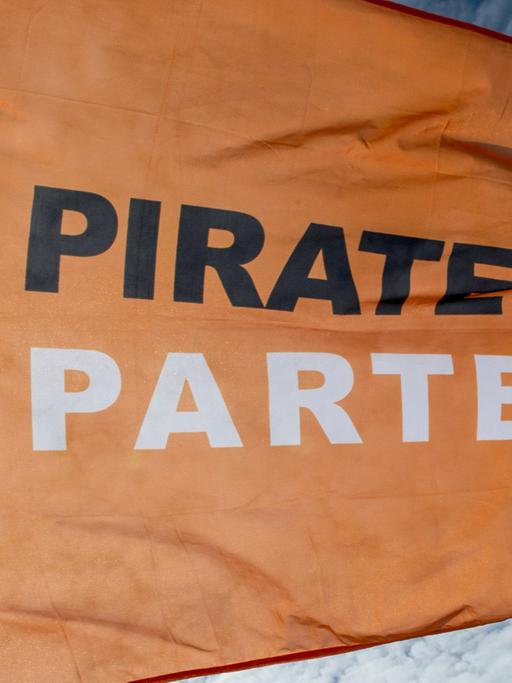 Die Fahne der Piratenpartei