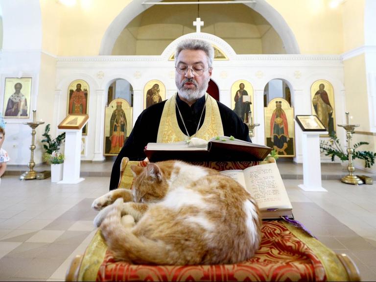 Eine Katze liegt in einer Kirche vor einem Priester, der in der Bibel liest.