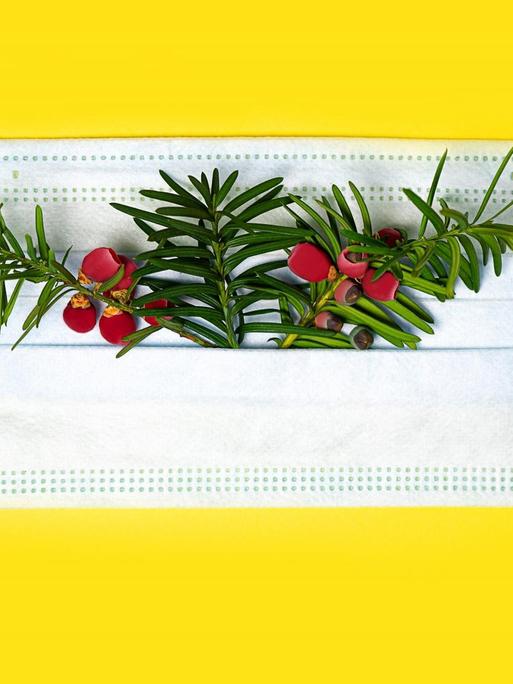 Ein Mundnasenschutz der mit weihnachtlichen Zweigen und roten Beeren bestückt ist und auf einem gelben Untergrund liegt.