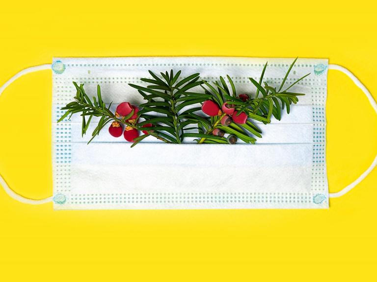 Ein Mundnasenschutz der mit weihnachtlichen Zweigen und roten Beeren bestückt ist und auf einem gelben Untergrund liegt.