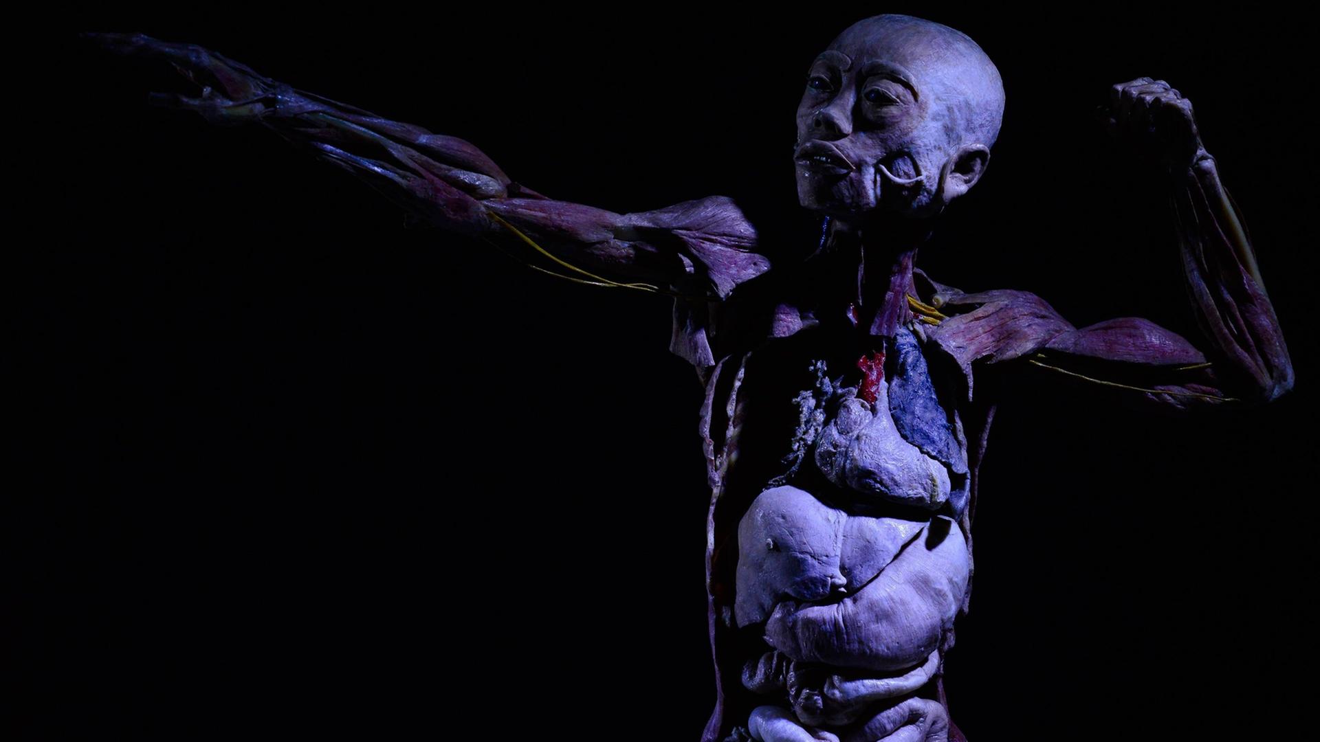 Eine Ausstellung in Berlin zeigt die Körper von toten Menschen