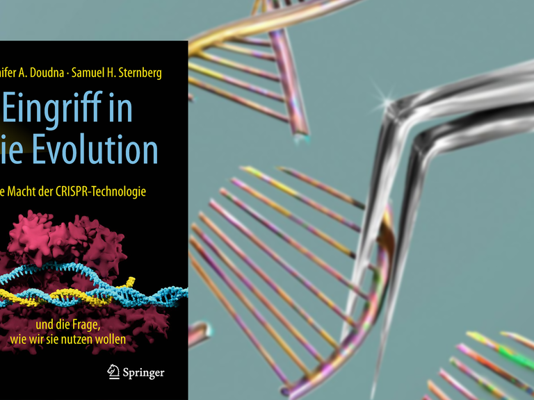 Cover von Jennifer A. Doudna/Samuel H. Sternberg: "Eingriff in die Evolution", im Hintergrund die Illustration einer Schere, die ein DNA Molekül modifiziert