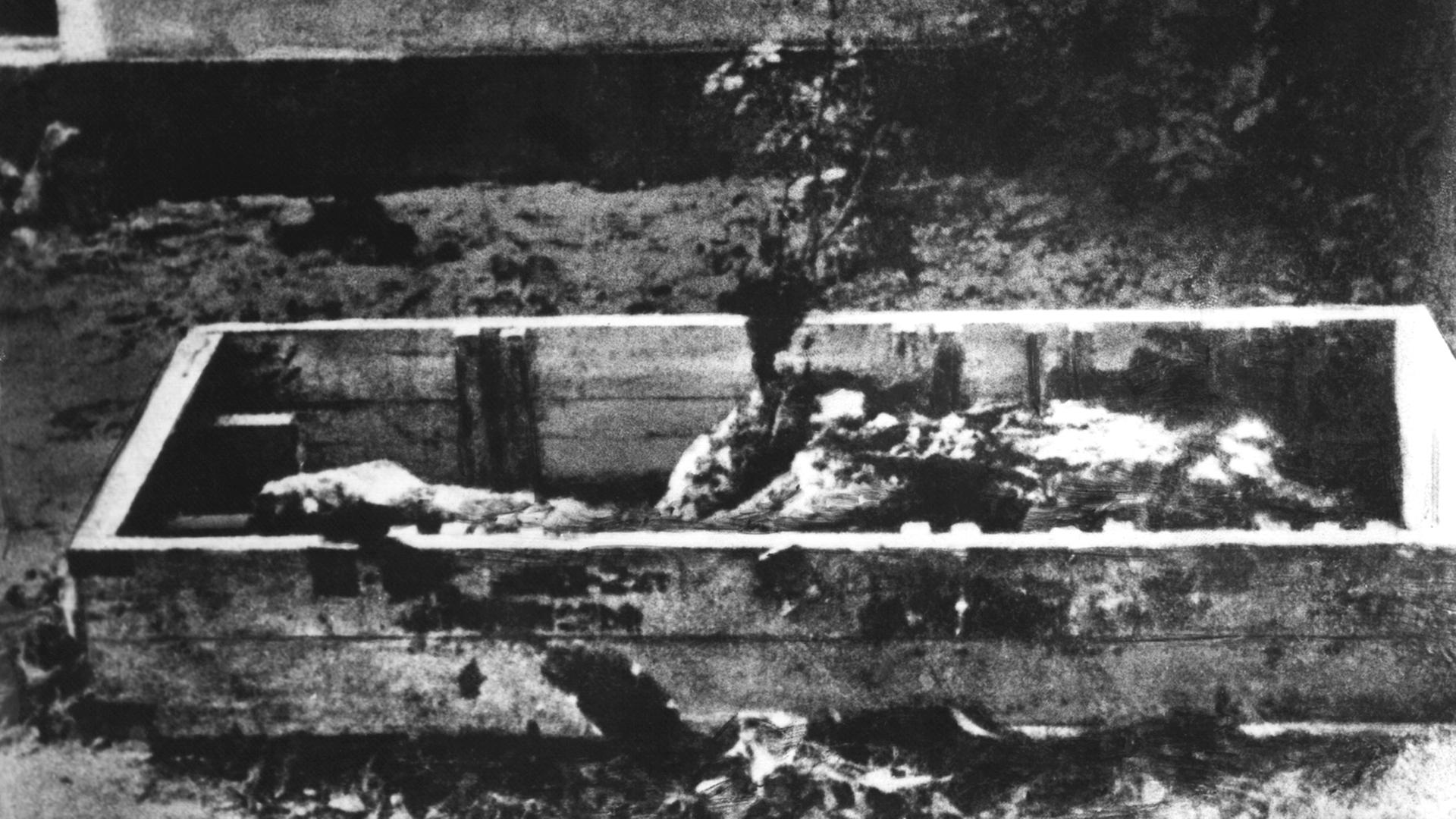 Das Bild zeigt die angebliche verkohlte Leiche Adolf Hitlers. Nach dem gemeinsamen Selbstmord am 30. April 1945 von Adolf Hitler und seiner Ehefrau Eva Braun (Heirat am 29. April 1945) wurden beide Leichen nach der Aussage von Kempka, dem langjährigen Fahrer von Hitler, durch diesen im Garten der Reichskanzlei nach Übergießen mit Benzin verbrannt.