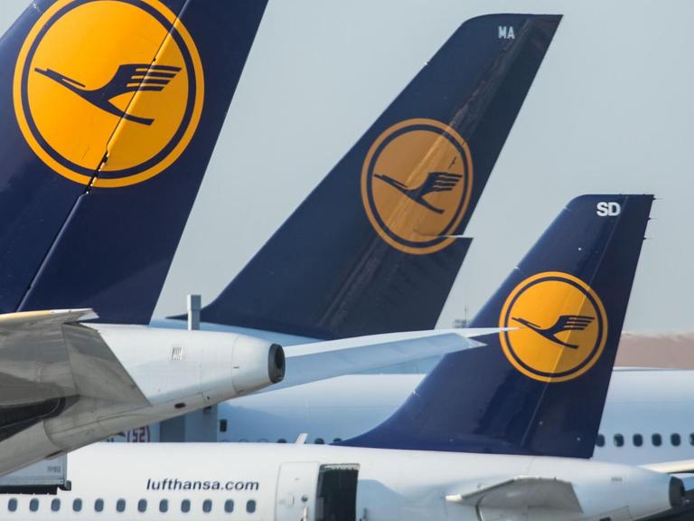 Lufthansa-Maschinen stehen am 09.09.2015 am Flughafen von Frankfurt am Main (Hessen) am Boden.