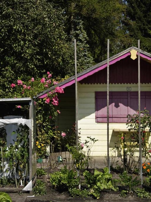 Ein Schrebergarten in München.