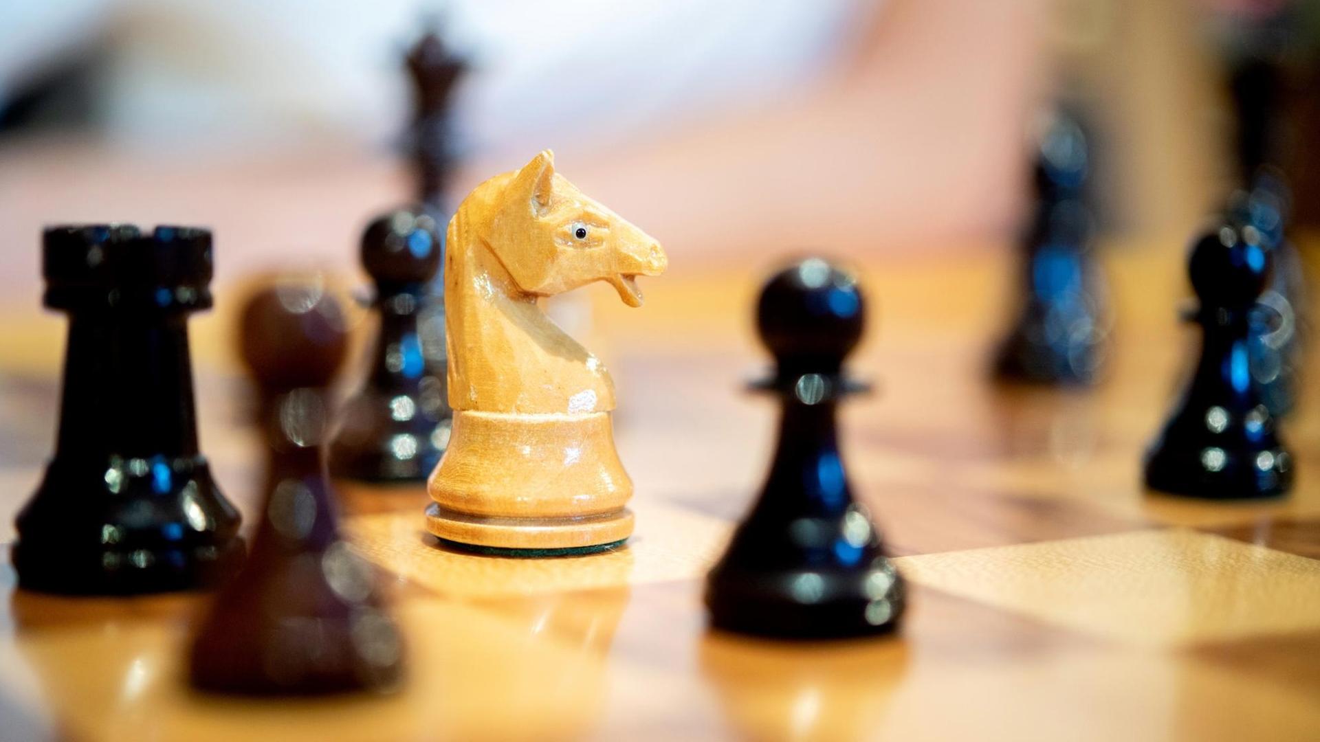 Schach-Figuren aus Holz stehen auf einem Schach-Brett.