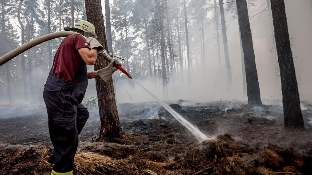 Feuerwehr löscht brennenden Wald in Brandenburg