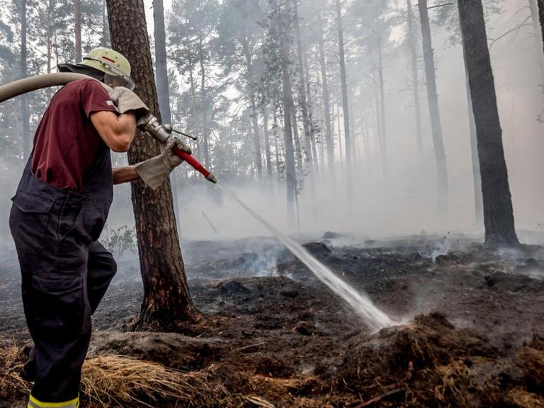 Feuerwehr löscht brennenden Wald in Brandenburg