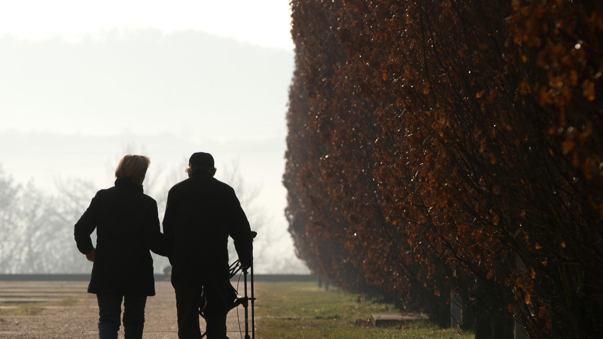 Zwei Spaziergänger gehen am 13.01.2014 in Ostfildern bei Stuttgart (Baden-Württemberg) durch den Scharnhauser Park, einer von ihnen nutzt einen Rollator.