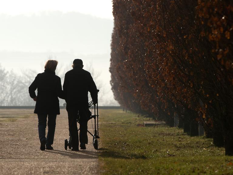 Zwei Spaziergänger gehen am 13.01.2014 in Ostfildern bei Stuttgart (Baden-Württemberg) durch den Scharnhauser Park, einer von ihnen nutzt einen Rollator.