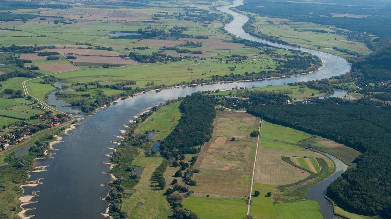 Die Elbe aufgenommen am 27.08.2014 bei Bleckede (Niedersachsen).