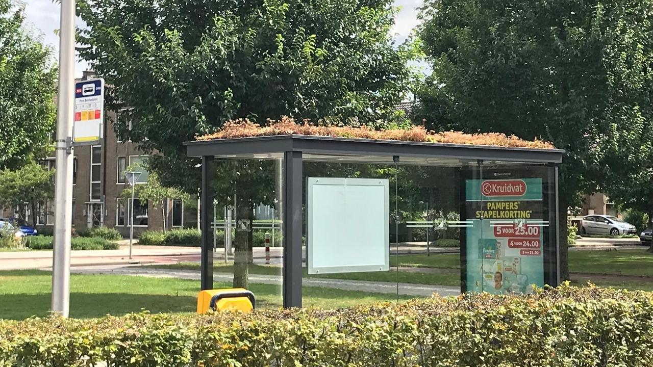 Eine Bushaltestelle in der niederländischen Stadt Utrecht. Das dach der Haltestelle ist bepflanzt und begrünt.