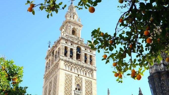 Der Orangenhof mit Giralda - das ehemalige Minarett der Hauptmoschee - bei der Kathedrale von Sevilla in Spanien