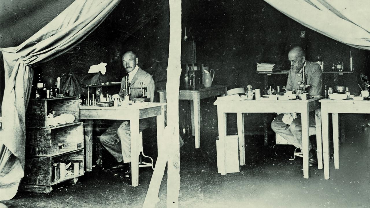 Robert Koch arbeitet im Laborzelt auf den Sese-Inseln bei der Expedition zur Erforschung der Schlafkrankheit