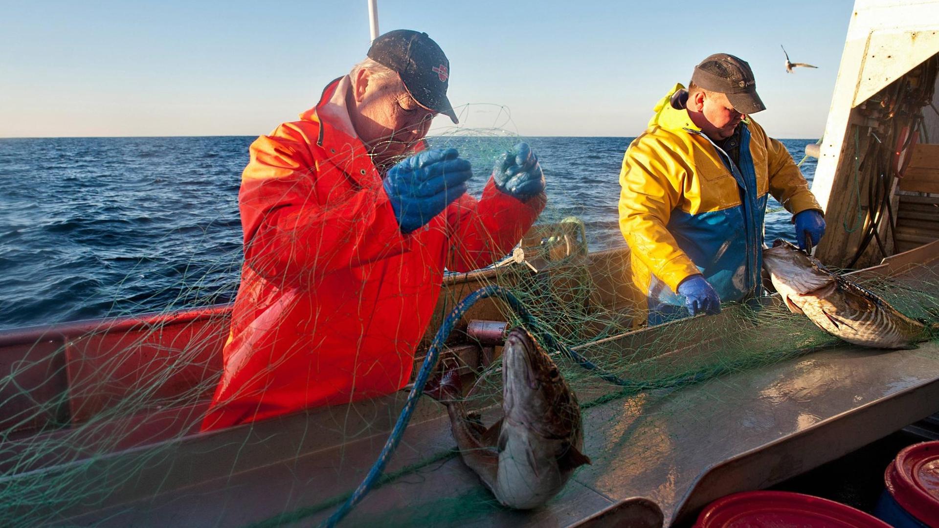 Двое рыбаков вытаскивают сети с пойманной рыбой.