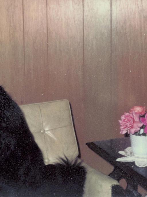 Eines der Amateurfotos, für die sich Erik Kessels begeistert - ein schwarzer Hund sitzt auf einem Sessel (Bild: Erik Kessels)
