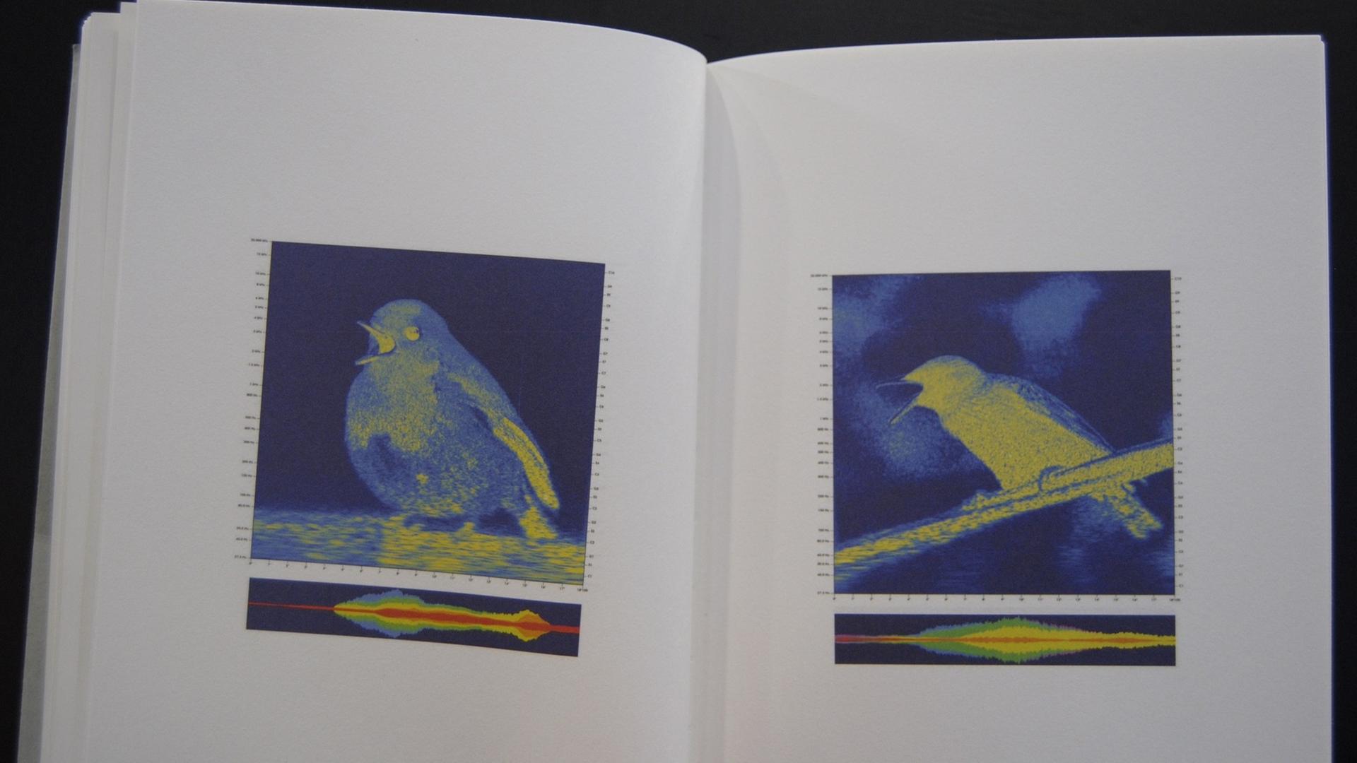 Schönst Buch 2017 "Ornithology"
