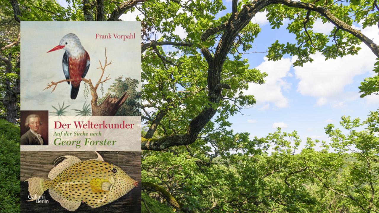 Vor 225 Jahren gestorben Forster Weltreisender und Revolutionär