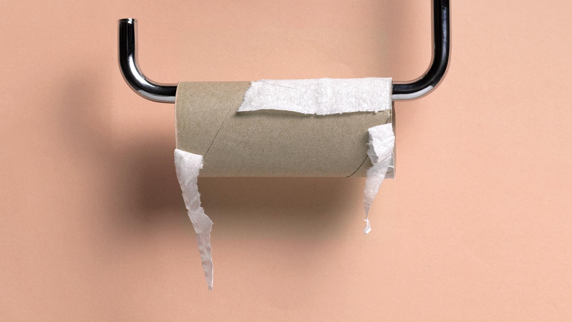 Toilettenpapierhalter mit einer leeren Rolle Klopapier Toilettenpapierhalter mit einer leeren Rolle Klopapier