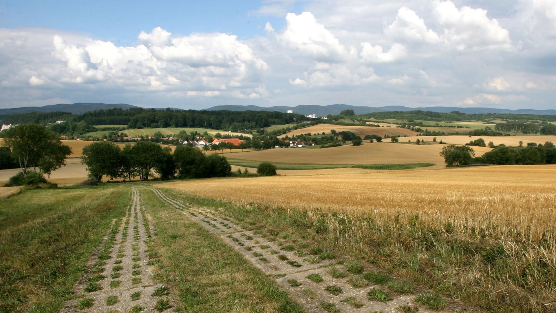 Das Grüne Band an der früheren innerdeutschen Grenze