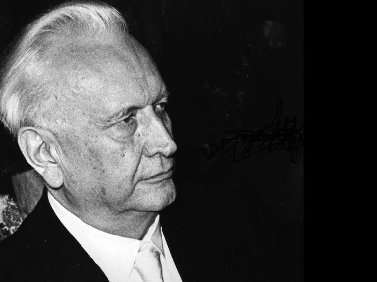 Das Schwarz-Weiß-Foto zeigt Karl Jaspers im Porträt.