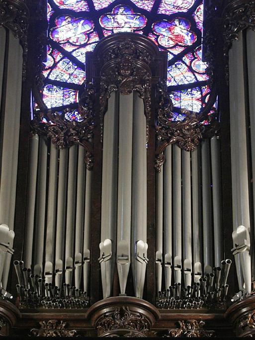 Vor einem rosettenförmigen Kirchenfenster aus blauem, rotem und lilafarbenem Glas stehen viele metallene Orgelpfeifen, eingebundem von reich verziertem Holz.