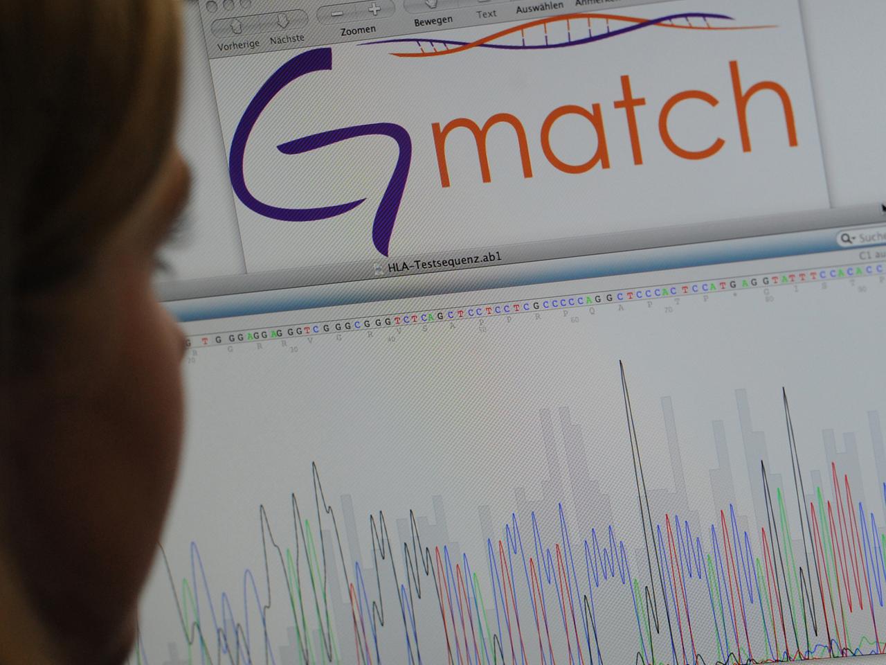 Blick auf eine DNA-Analyse der Online-Partnerbörse "G-Match": Wie sicher sind die hinterlegten DNA-Daten?