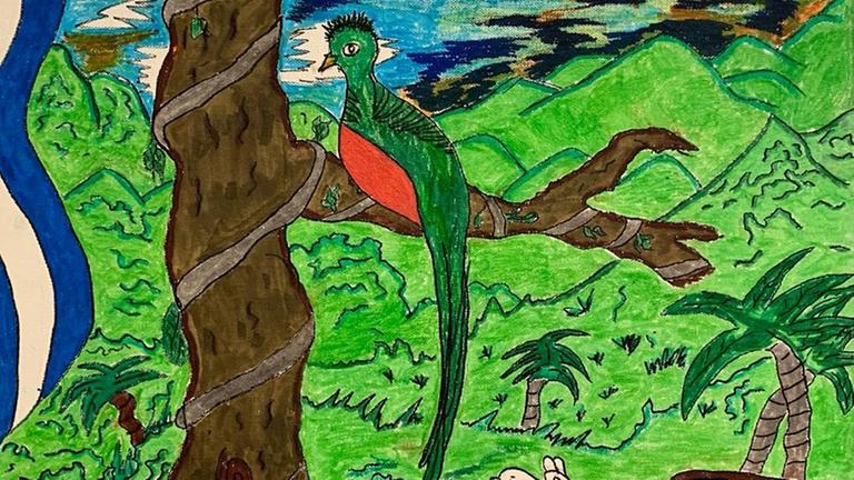 Ein Quetzal sitzt in einem Bild. "Uncaged Art", befreite Kunst: Bilder von Jugendlichen aus dem Internierungslager für Immigranten in Tornillo/Texa