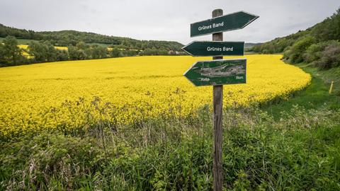 Ein Schild weist auf das sogenannte Grüne Band in der Nähe des thüringischen Geismar entlang der ehemaligen Grenze hin.