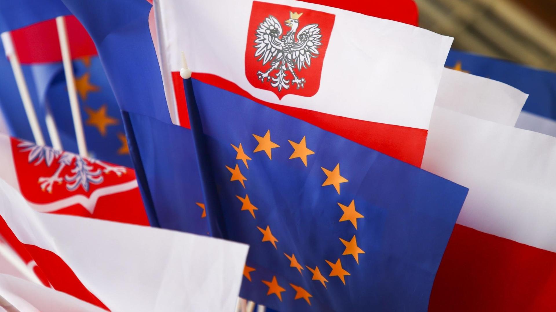 Flaggen Polens und der EU