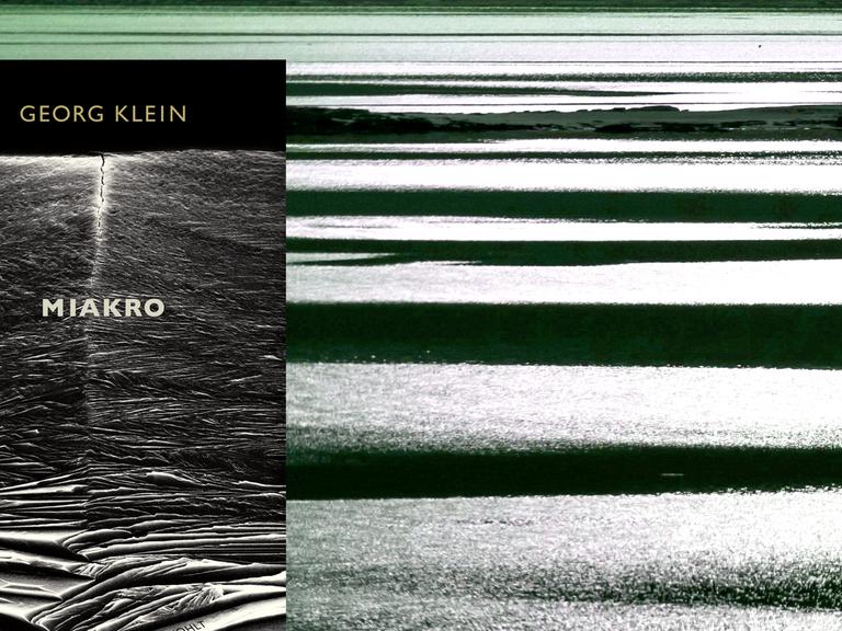 Buchcover von Georg Kleins Roman "Miakro"