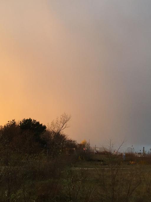 Das Abendlicht lässt die Wolken über der Seebrücke Heringsdorf auf der Ostsee-Insel Usedom in Gelb bis Grau leuchten.