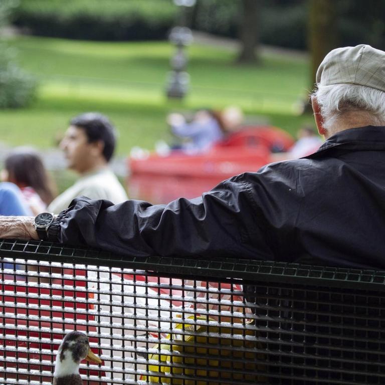 Rentner auf Parkbank im Volksgarten. Köln