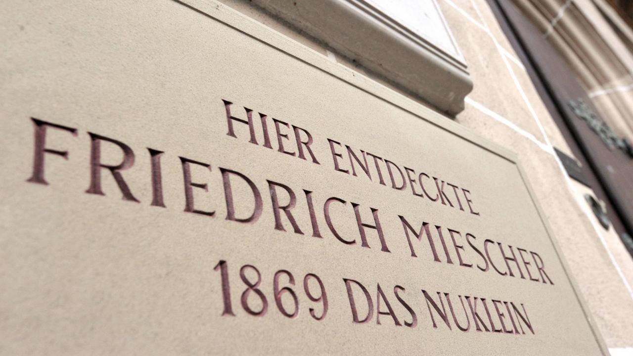 Hinweisschild auf Nuklein-Entdecker Friedrich Miescher am Tübinger Schlossberg, in dem jetzt kulturwissenschaftliche Institute der Universität untergebracht sind. Hinweisschild auf Nuklein-Entdecker Friedrich Miescher Remembering scientist Friedrich Miescher

Sign on  Explorers Friedrich  at Tübingen Schlossberg in the Now  Institute the University accommodated are Sign on  Explorers Friedrich  remembering Scientist Friedrich