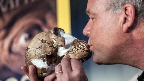 Professor Lee Berger mit dem Schädel eines Homo naledi