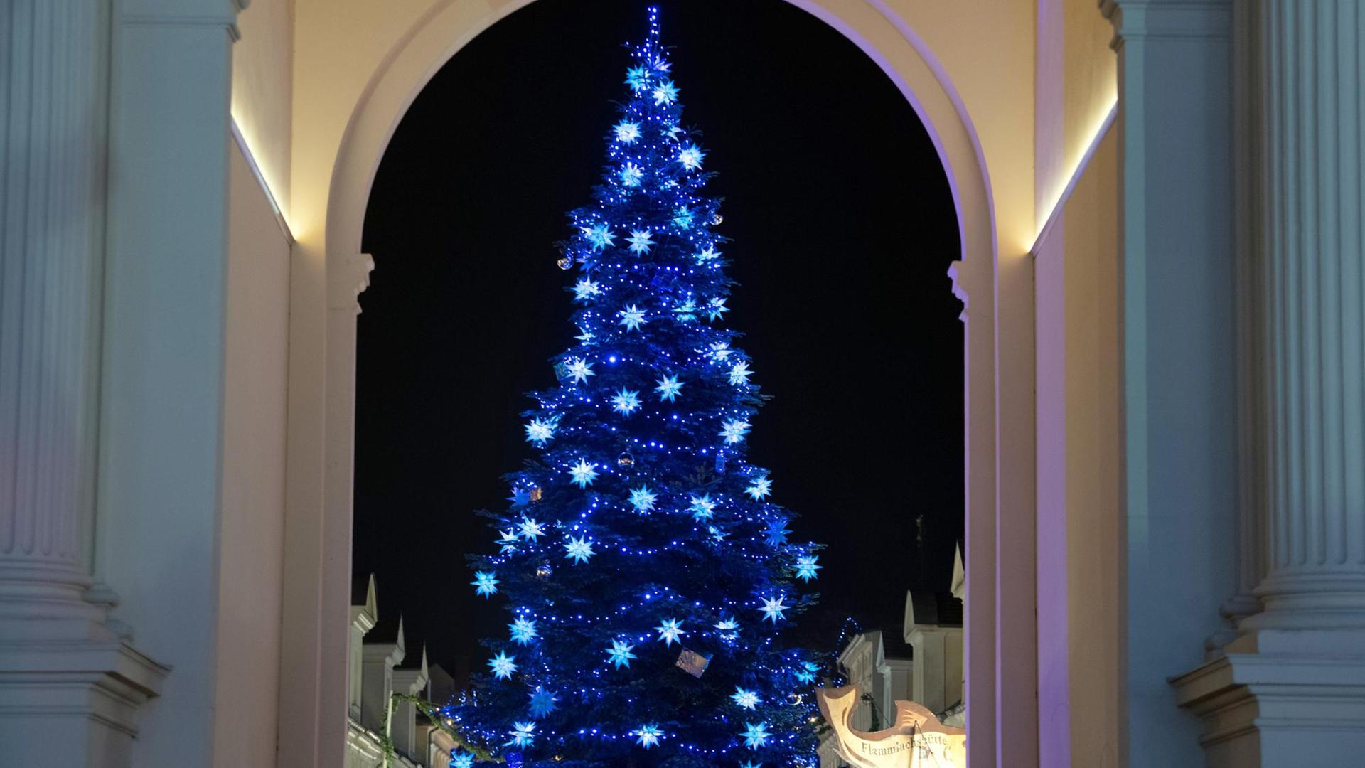 Ein blau geschmückter Weihnachtsbaum steht in Potsdam.