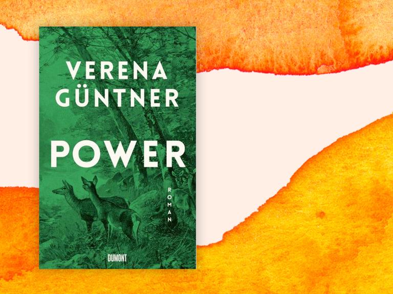 Das Bild zeigt das Cover des neuen Romans von Verena Güntner. Er heißt "Power".