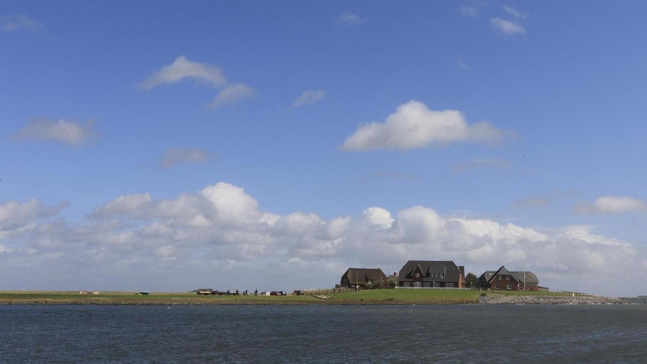 Das Foto zeigt eine Ansammlung von Häusern auf einer Warft auf der Hallig Langeneß (Schleswig-Holstein).