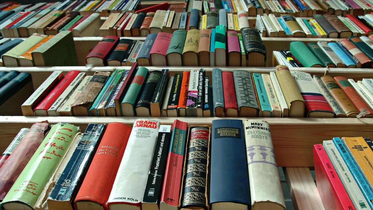 Blick auf ein Bücherregal mit alten, teilweise schon etwas zerfledderten Büchern.