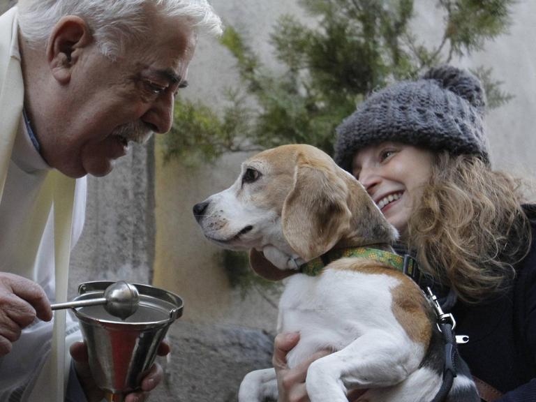 Tierisches Seelenheil: Dieser spanische Priester segnet am Jahrestag des Heiligen Antonius auch Hunde und Katzen.