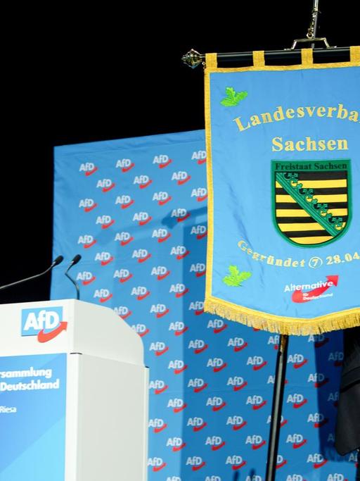 Ein Teilnehmer trägt vor Beginn der Europawahlversammlung der Alternative für Deutschland in der Sachsen-Arena die Fahne des Landesverbandes Sachsen auf die Bühne.