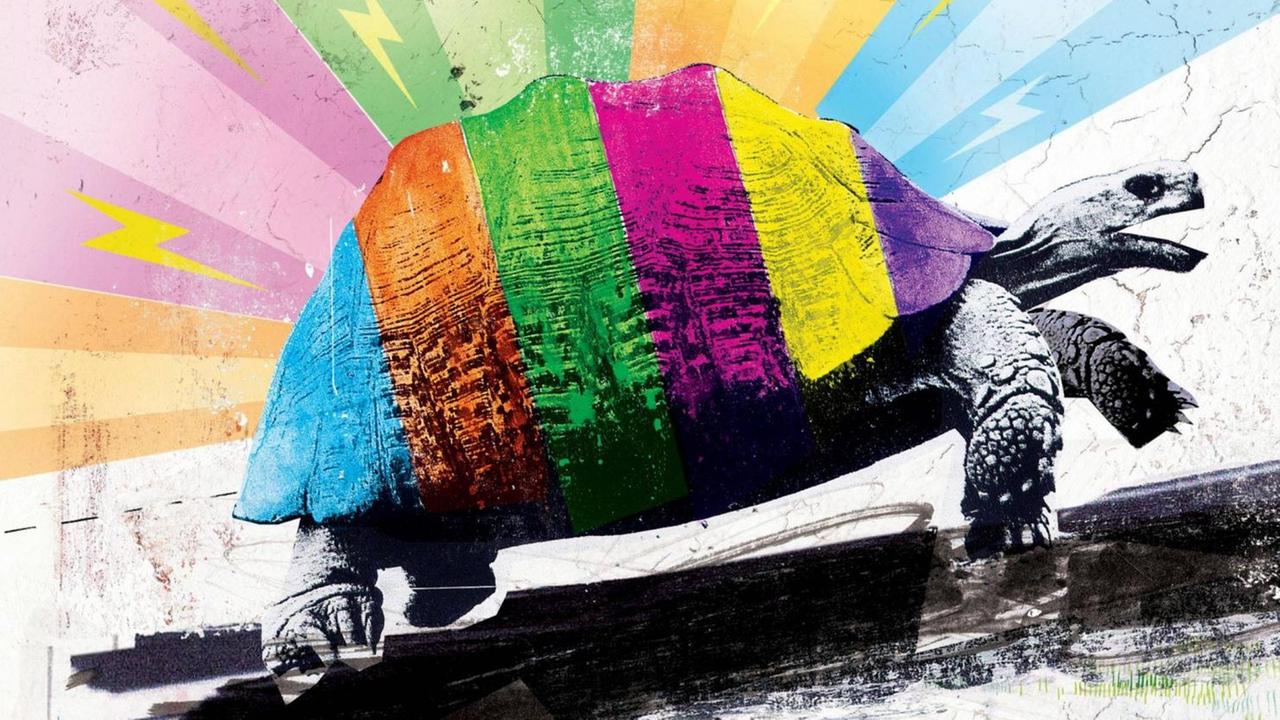 Illustration einer Schildkröte in regenbogenfarben.