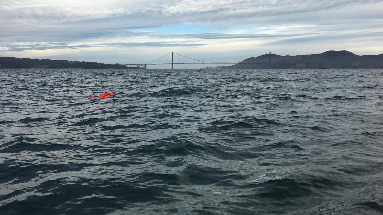 Lauert irgendwo ein Hai? - Martin Böttcher schwimmt von der Gefängnisinsel Alcatraz nach San Francisco.