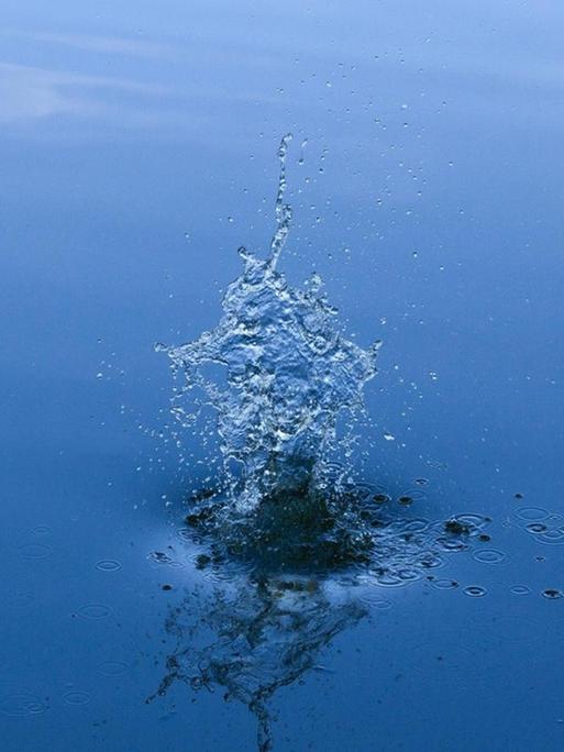 Ein Wasserspritzer in einer ruhigen blauen Wasseroberfläche.