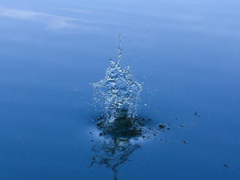 Ein Wasserspritzer in einer ruhigen blauen Wasseroberfläche.