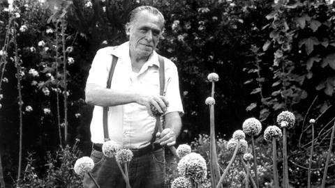Historische schwarz-weiss Aufnahme des Schriftstellers Charles Bukowski in einem Garten, er streichelt eine phallisch aussehende Pflanze.