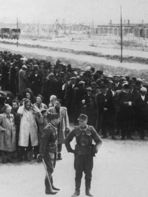 Neu angekommene Häftlinge haben auf der Todesrampe im KZ Auschwitz Aufstellung genommen. Links Frauen und Kinder, rechts die Männer. Anschließend wird mit der Selektion begonnen.