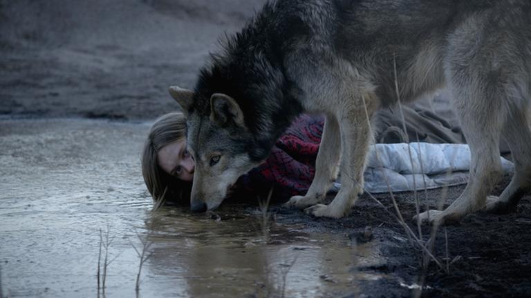 Anna, gespielt von Lilith Stangenberg, nimmt einen Wolf auf - in ihrer Hochhauswohnung