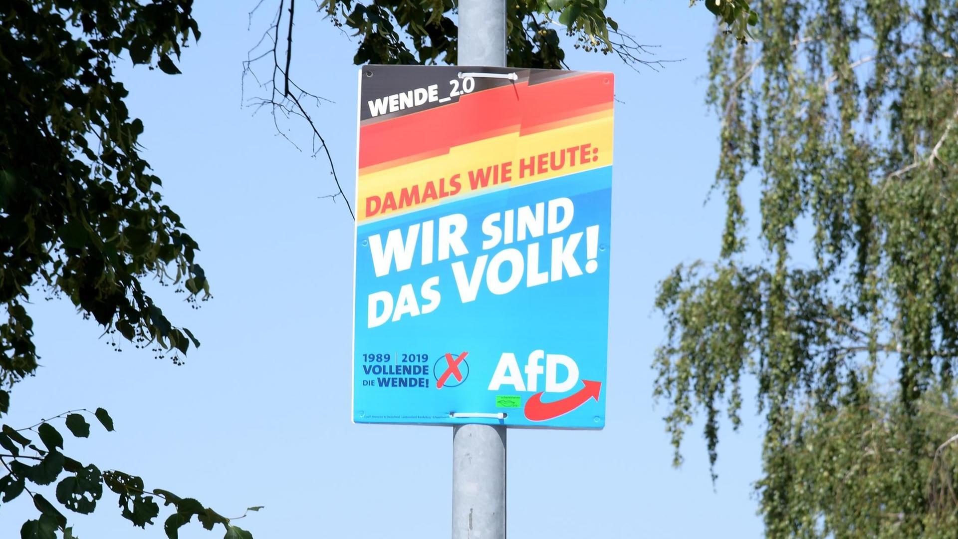 Ein Wahlplakat der Partei Alternative für Deutschland (AfD) mit der Aufschrift "Wir sind das Volk!" ist in Brandenburg zu sehen.
