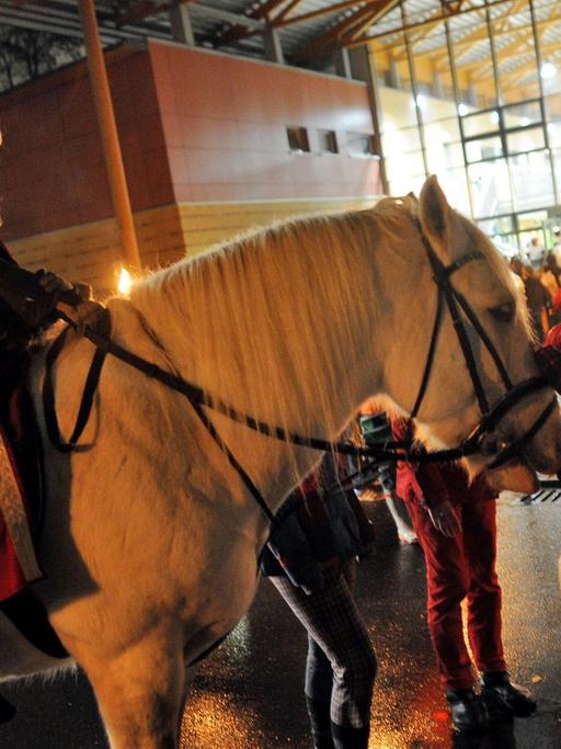 Kinder begrüßen am 07.11.2013 in Köln (Nordrhein-Westfalen) beim Martinszug der Montessori Grundschule Am Pistorhof den Darsteller des Heiligen Martin und sein Pferd.